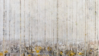 Forest Art Prints NZ-Winter Trees