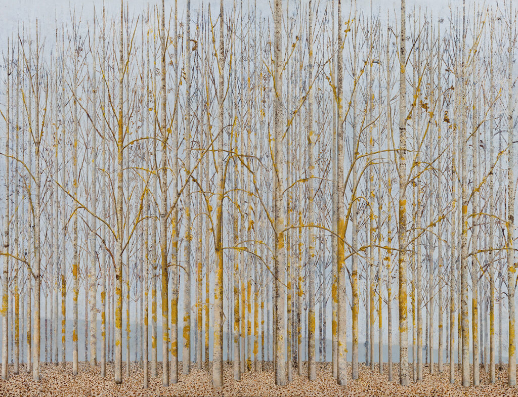 New Zealand Art Prints – Winter Tree Landscape